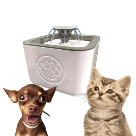 Fuente De Agua Para Perros y Gatos 🐱 🐶